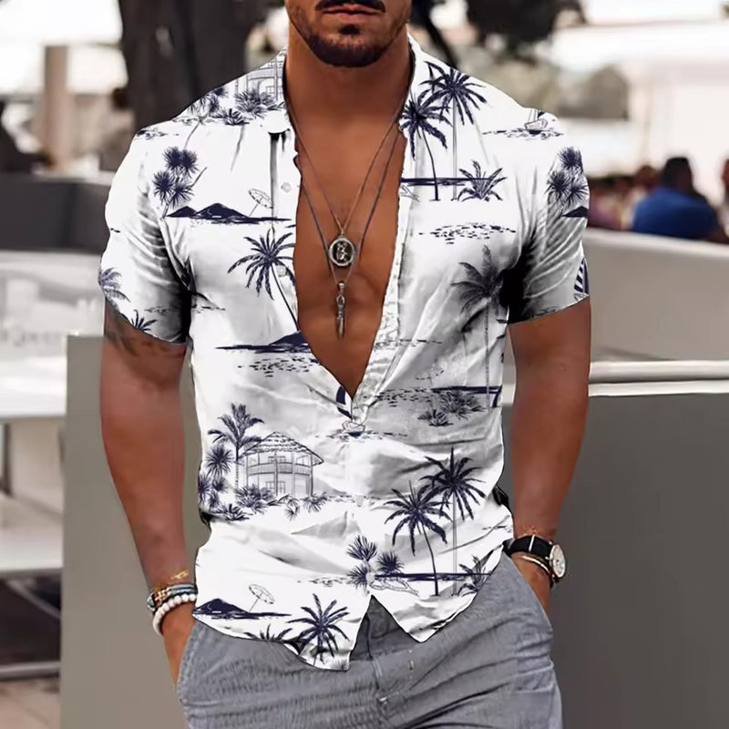 Men's Summer Top