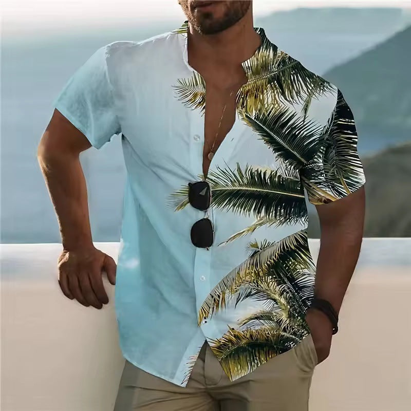 Men's Summer Top